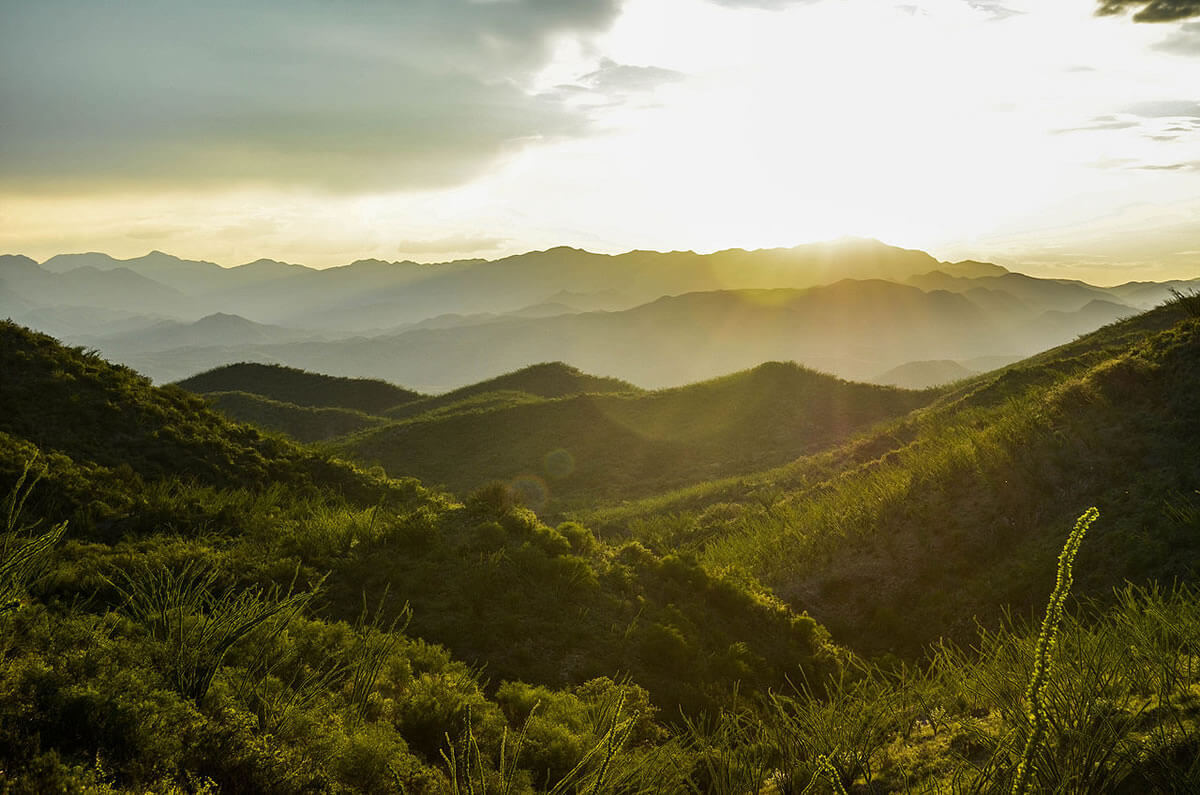 Sierra de Álamos–Río Cuchujaqui Biosphere Reserve | LAC Geo