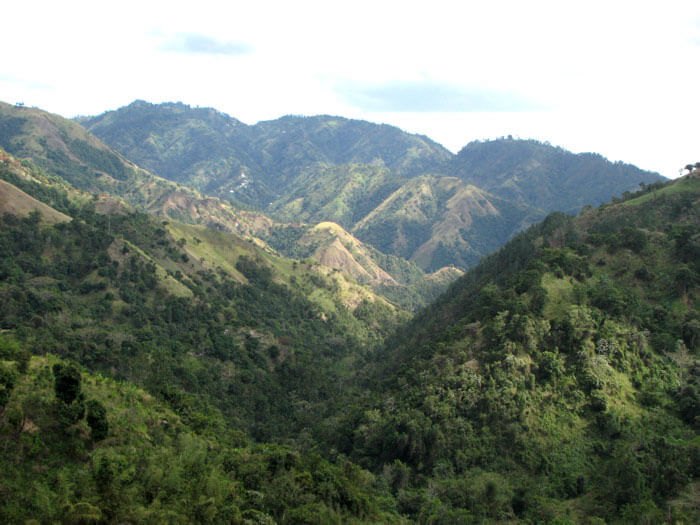 The Blue & John Crow Mountains: A Natural & Cultural Jewel of Jamaica ...