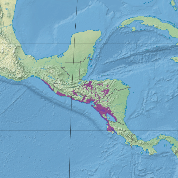 Map illustrating the extent of the Central American Atlantic dry forests (in purple)