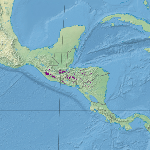 Map illustrating the extent of the Central American montane forests (in purple).