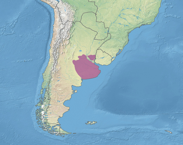 Map depicting the location of the Humid Pampas within Argentina