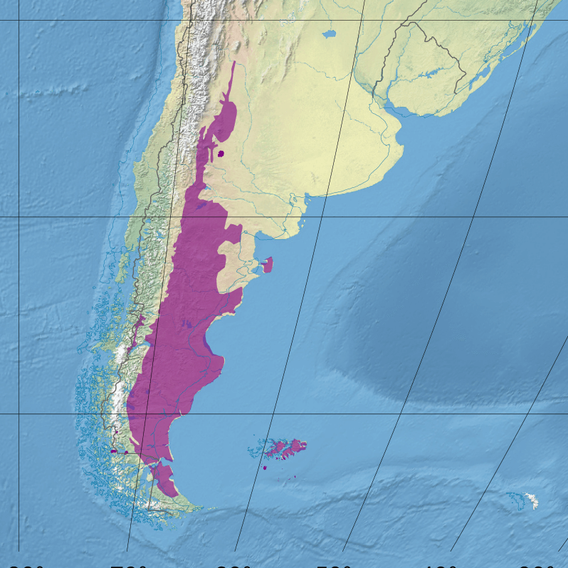 Location map of the Patagonian Grasslands ecoregion