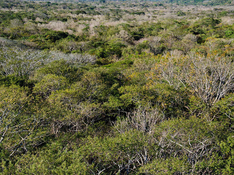 Santa Rosa National Park: Blending History & Biodiversity | LAC Geo