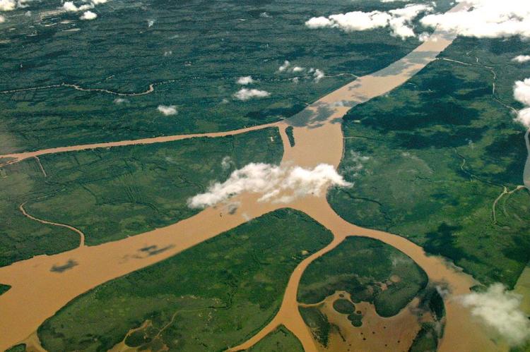 Lower Paraná Delta, Argentina