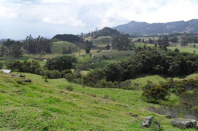 Typical landscape of the Altiplano Cundiboyacense in Boyaca Colombia