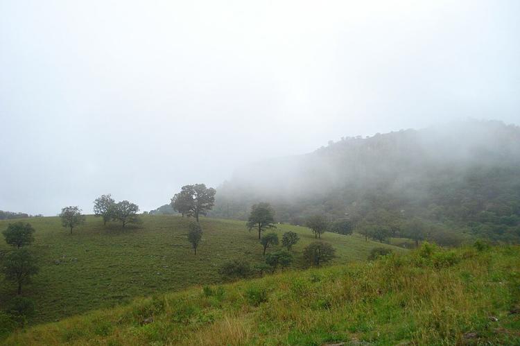  Huentitan/Oblatos canyon landscape, Guadalajara, Jalisco, Mexico