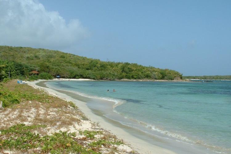 Beach at Vieques National Wildlife Refuge, PR
