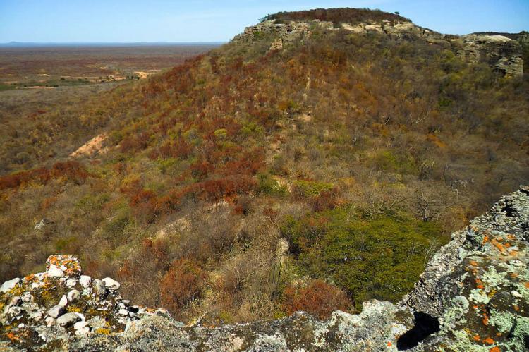 Caatinga Biosphere Reserve: Embracing the White Forest | LAC Geo