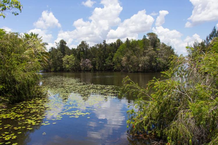 Ciénaga de Zapata: National Park & Reserve (Cuba) | LAC Geo