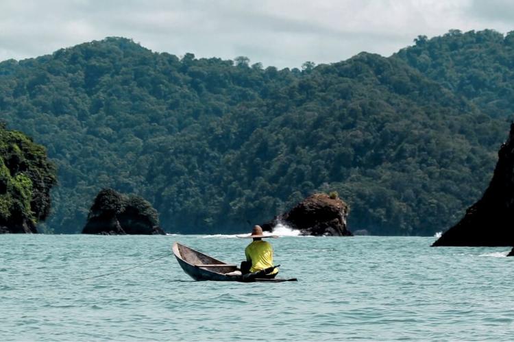 Colombian Pacific coast