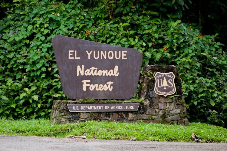 Entrance sign at El Yunque National Forest, Puerto Rico