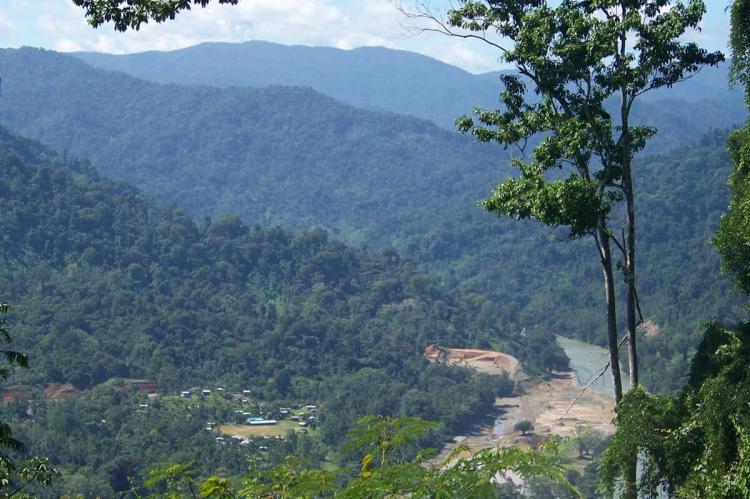 La Amistad Panama Biosphere Reserve, Changuinola River Valley