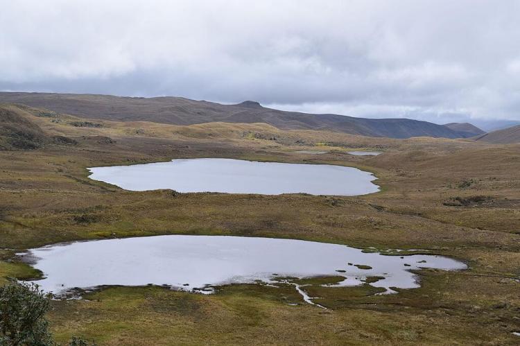 Parque Nacional Llanganates- Laguna de Anteojos, Ecuador