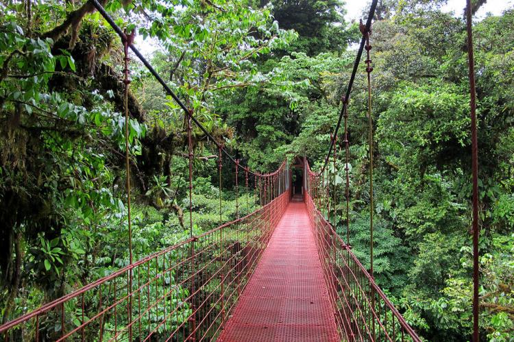 Suspension bridge in the Monteverde Biological Reserve, Costa Rica