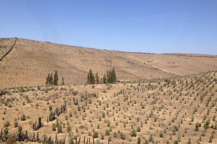 Norte Chico panorama, Chile