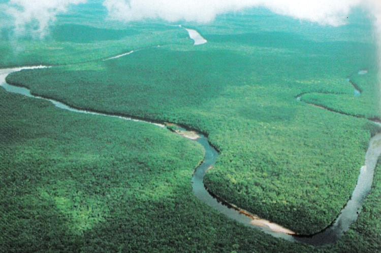 Orinoco Delta aerial view