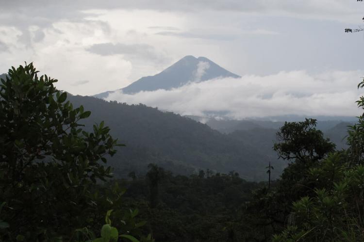 Sumaco Napo-Galeras National Park & Reserve | LAC Geo