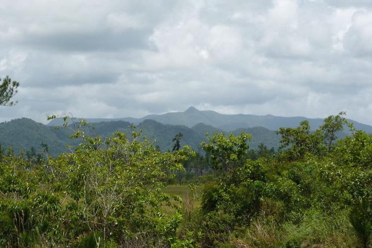 View of the Maya Mountains, Cockscomb Range and Victoria Peak, Belize