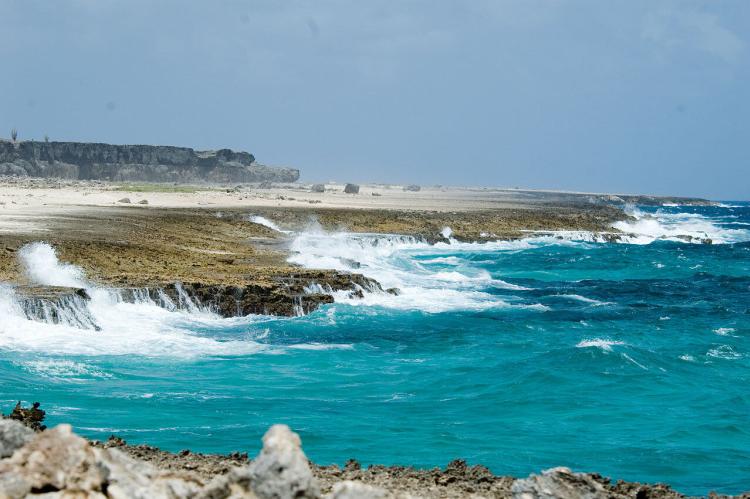 Washington Slagbaai National Park, Bonaire 