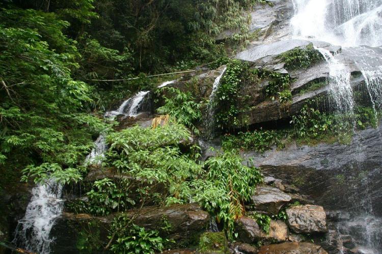 Taunay Waterfall, Tijuca Forest, Rio de Janeiro, Brazil