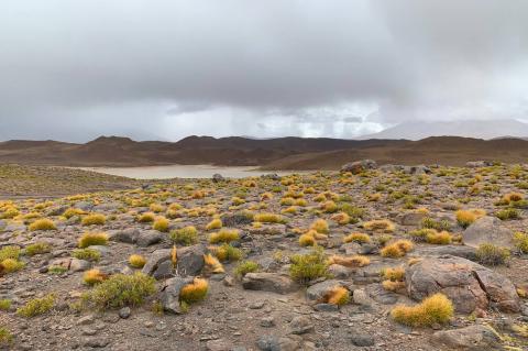 Laguna Chiar Kota (the Black Lagoon) at 4,201m. (13,783 ft.), the Lipez Desert, Bolivian Highlands (Altiplanos Boliviano), Potosí, Bolivia.