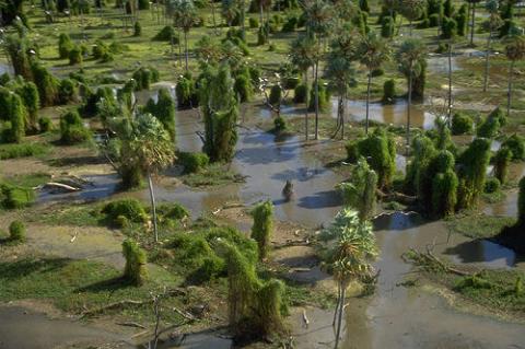 Marshes of the Río Pilcomayo National Park, Argentina