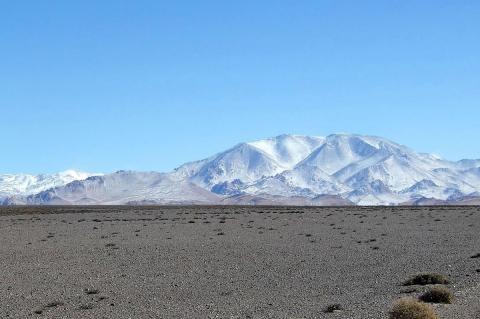 San Guillermo National Park, San Juan Province, Argentina