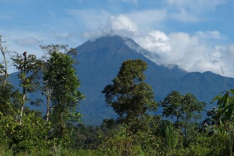 View of Sumaco Volcano, Ecuador