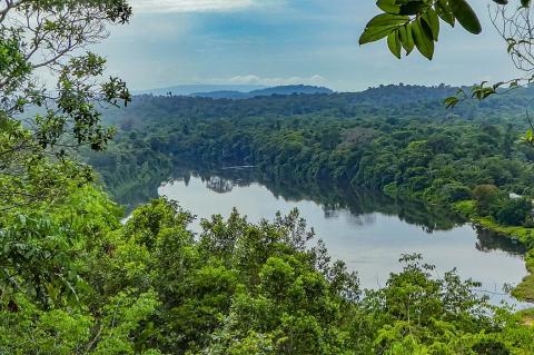 View of the Suriname river from the Blauwe Berg, or Blue Mountain, on the former Berg en Dal plantation, Suriname