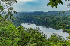 View of the Suriname river from the Blauwe Berg, or Blue Mountain, on the former Berg en Dal plantation