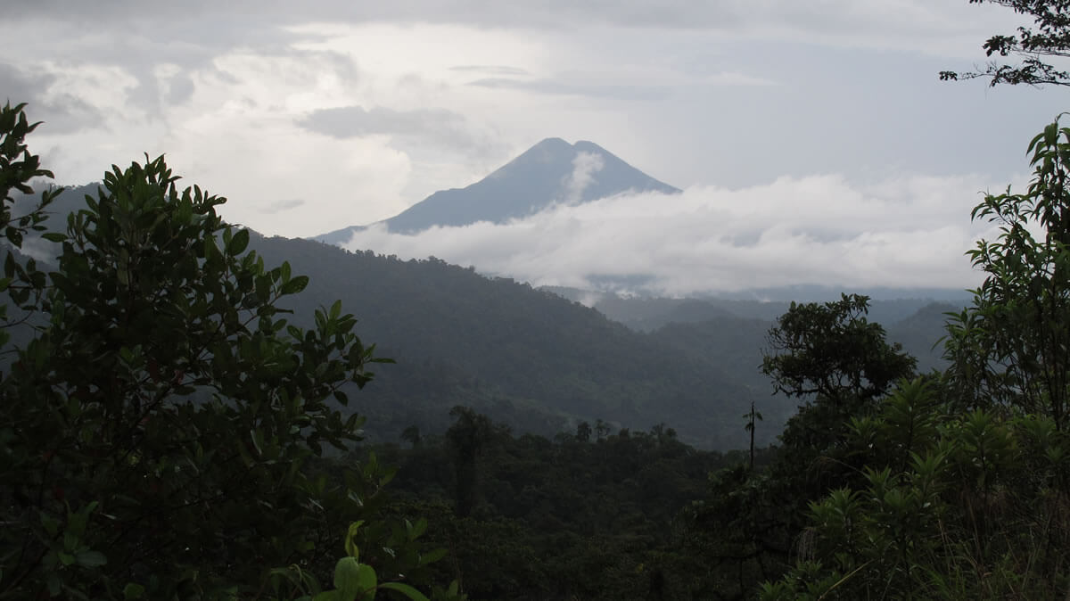 Sumaco Napo-Galeras National Park & Reserve | LAC Geo