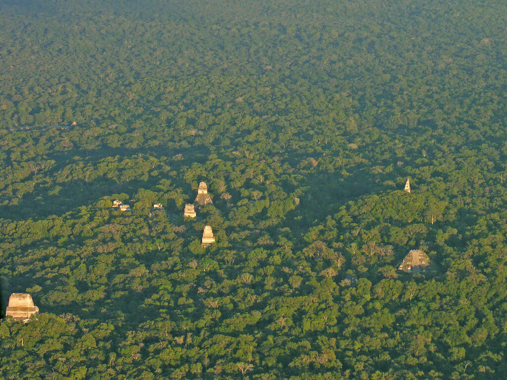 The Petén Basin & Maya Forest: A Comprehensive Exploration  LAC Geo